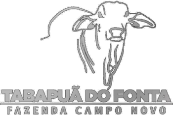 tabapua-do-fonta-logo